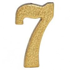 13384 - NUMERO RESIDENCIAL  APTO (7)PEXCEL