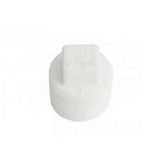 18718 - PLUG  ROSCAVEL   1/2